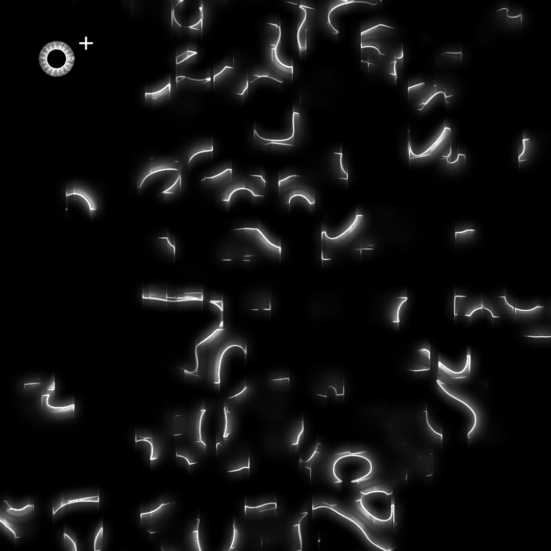 LS.s228 (138, F# Major)