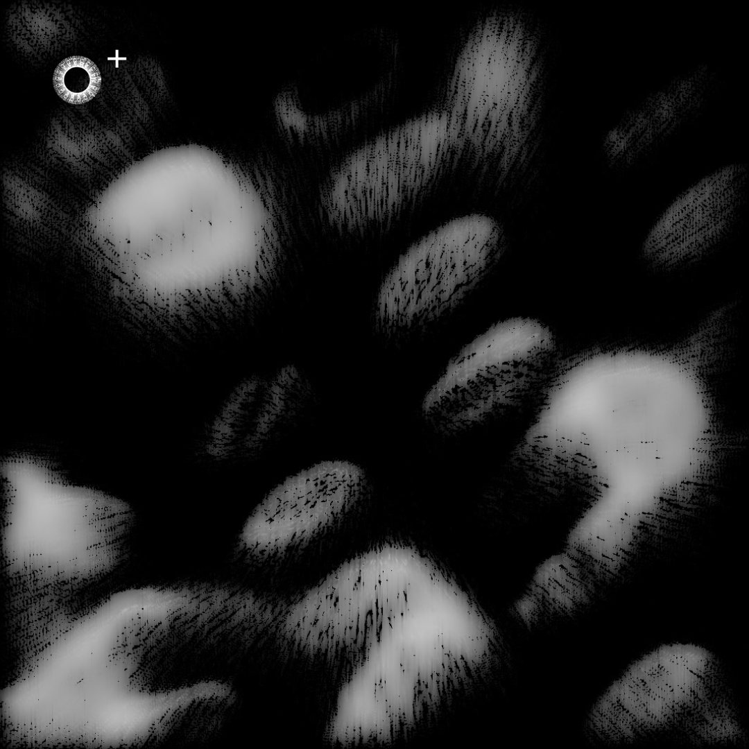 LS.s270 (120, B♭ Minor)