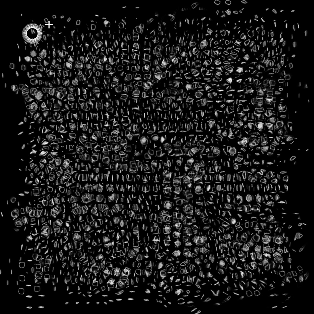 LS.s319 (120, G Major)