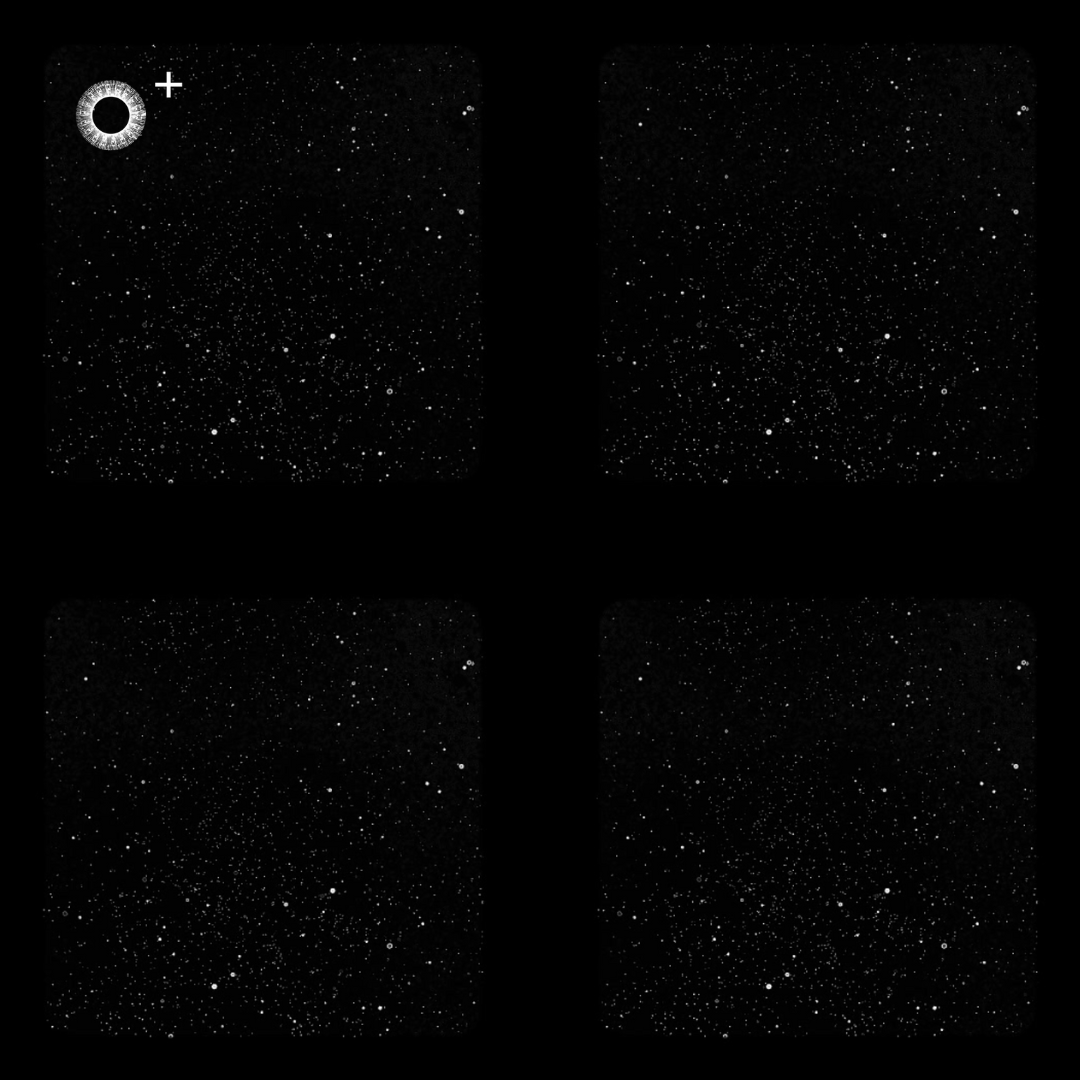 LS.s329 (117, F Minor)