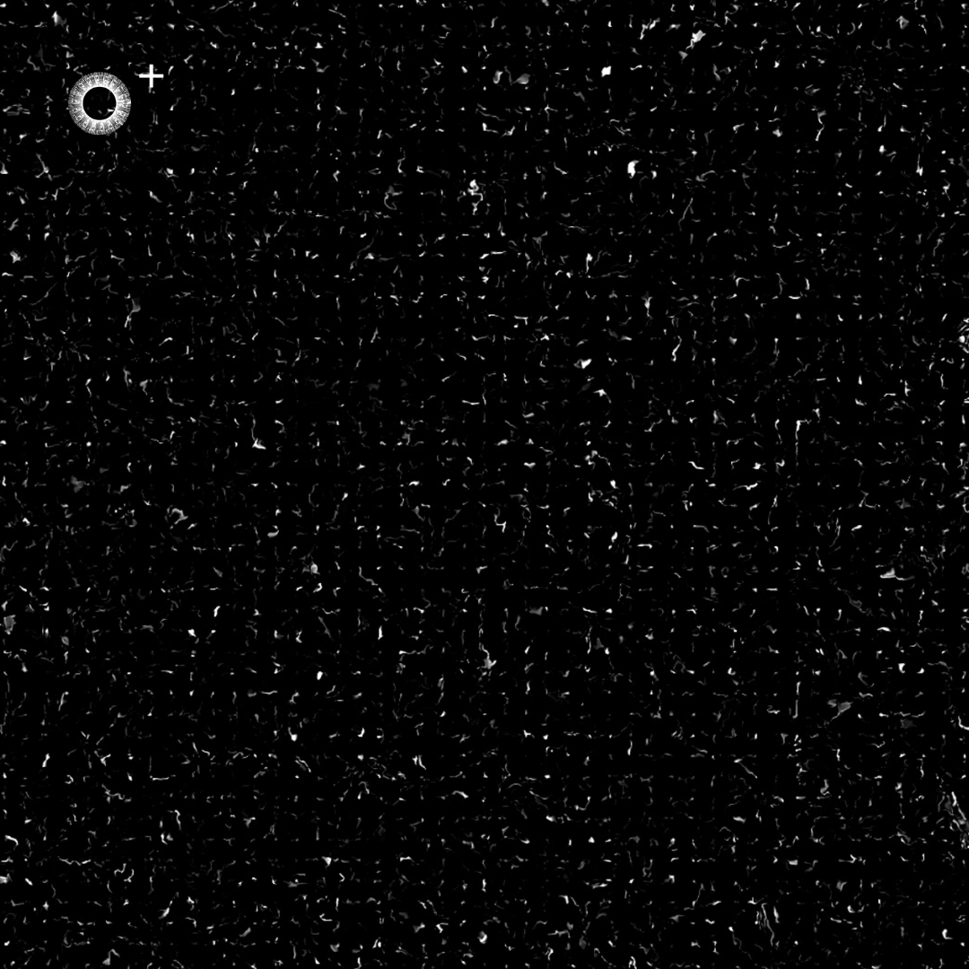 LS.s348 (120, E Minor)
