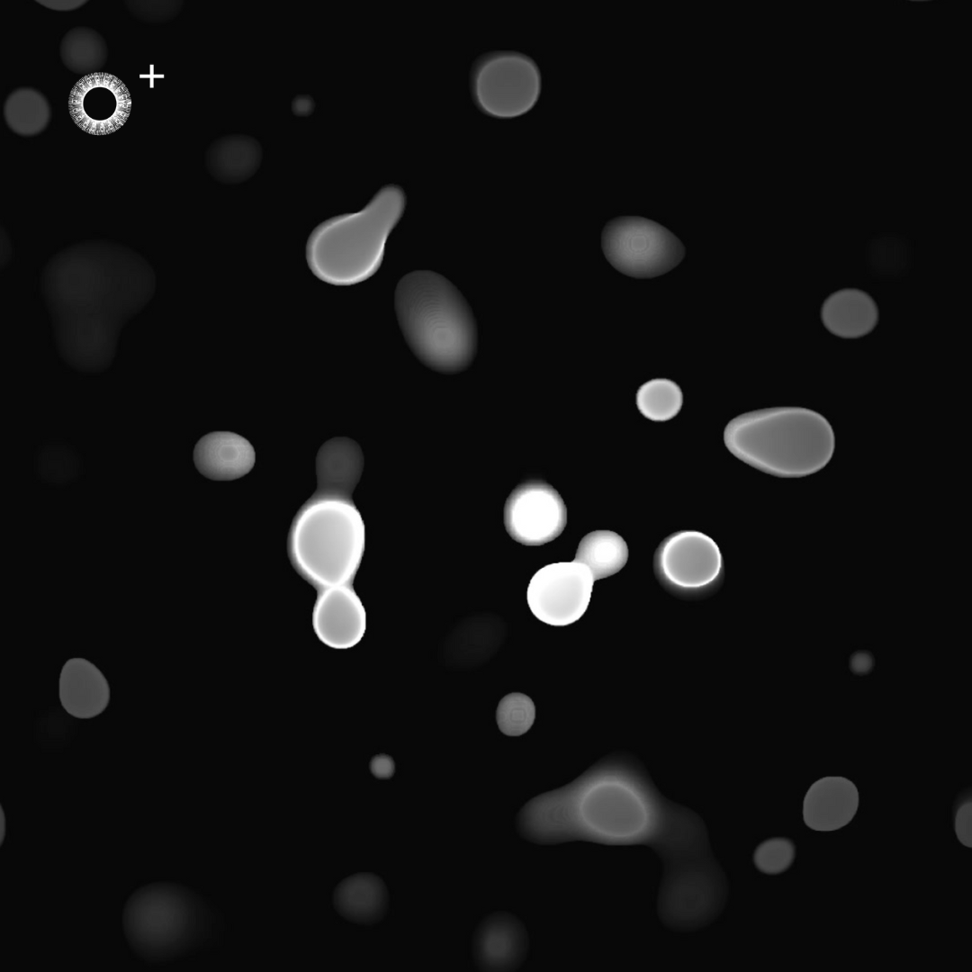 LS.s494 (122, G Minor)