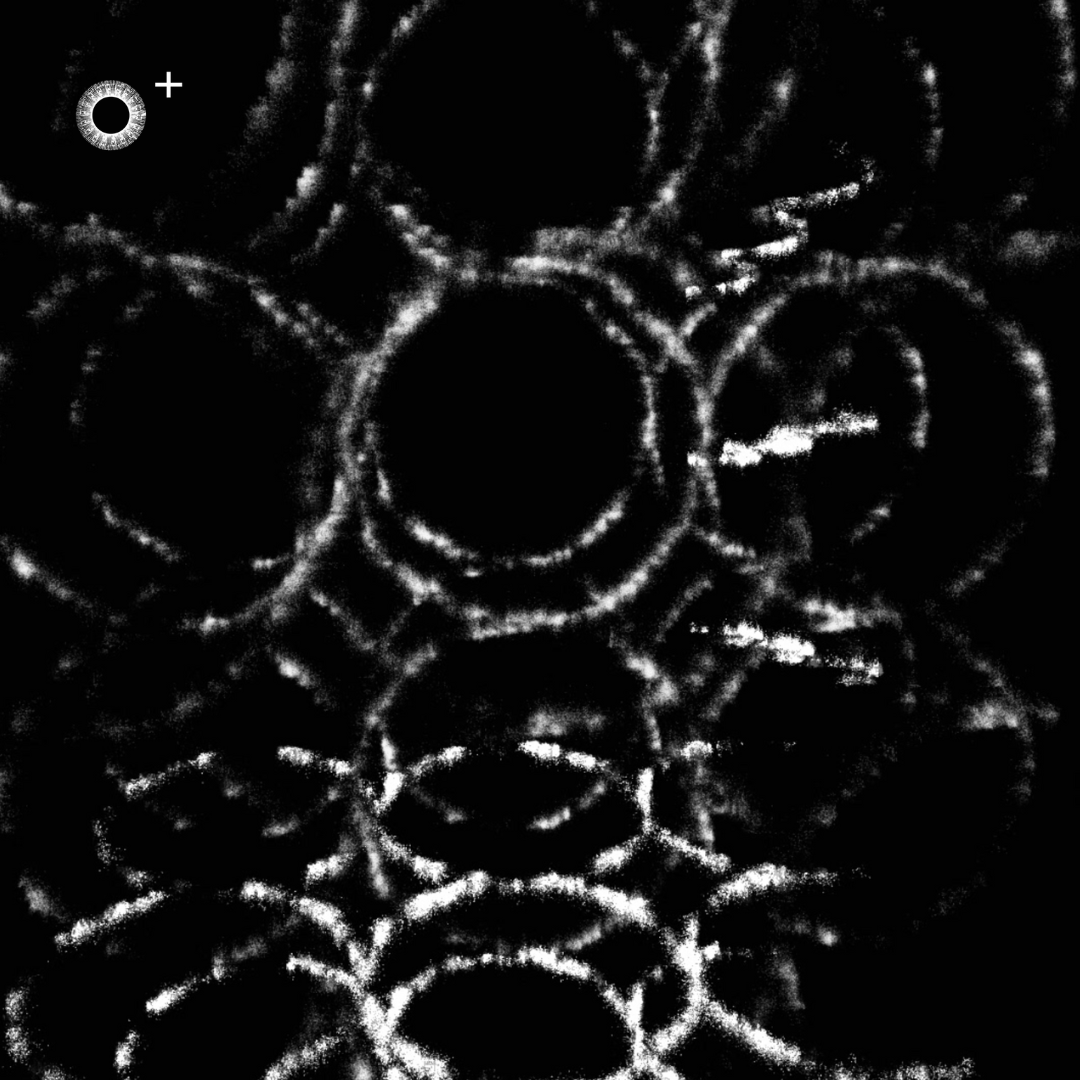 LS.s523 (158, A Major)