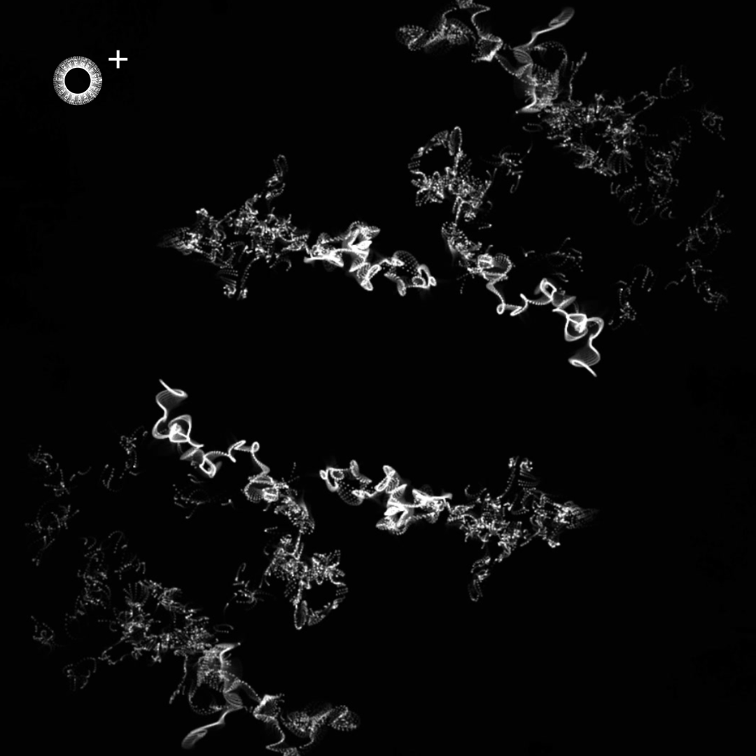 LS.s634 (120, F Minor)
