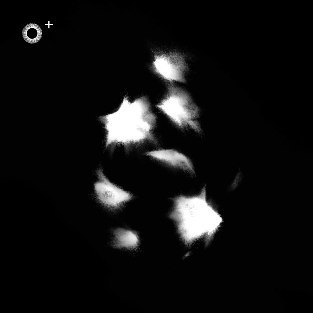 LS.s673 (120, F Minor)