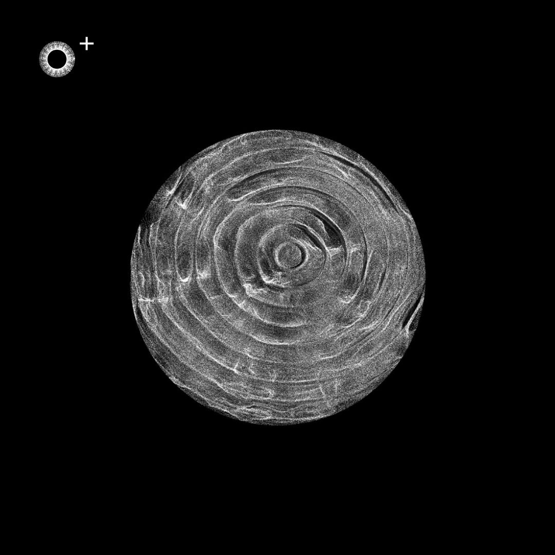 LS.s255 (136, C Major)