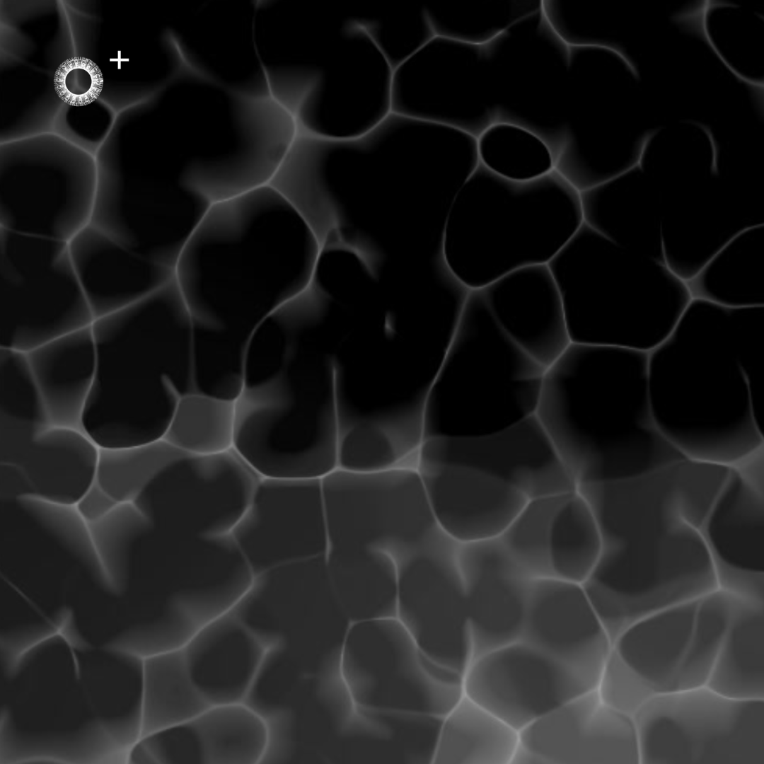 LS.s307 (120, E♭ Minor)