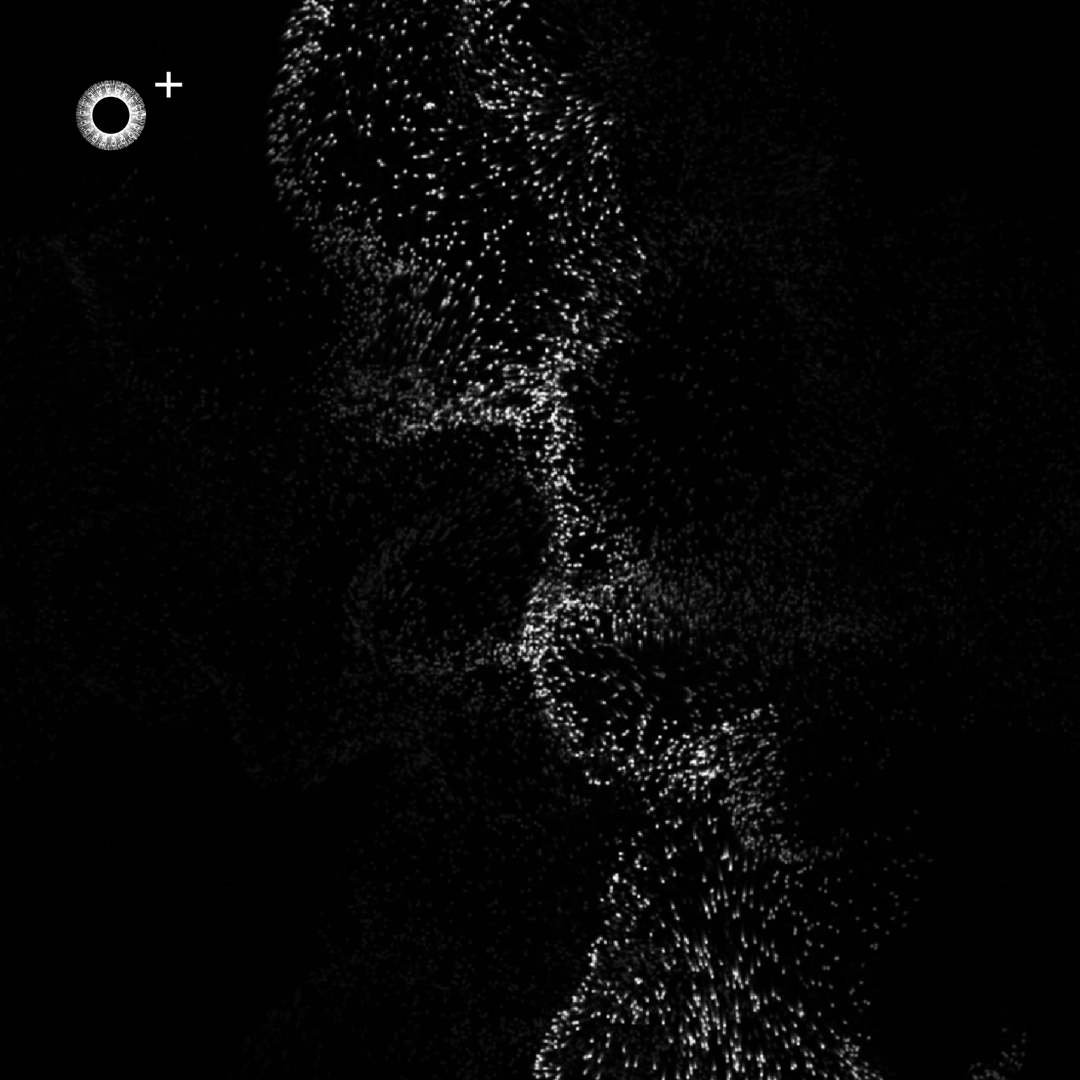 LS.s419 (126, E♭ Minor)