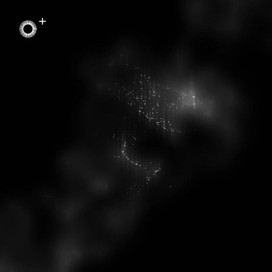 LS.s446 (150, D Minor)