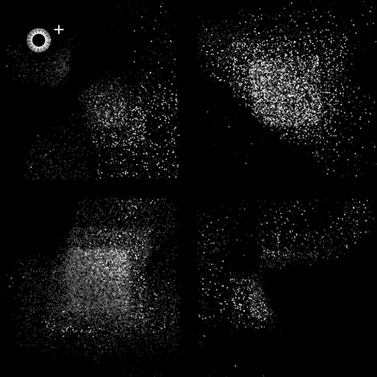 LS.s451 (125, F# Minor)