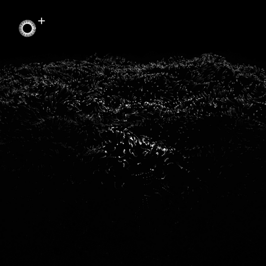 LS.s452 (120, D Minor)