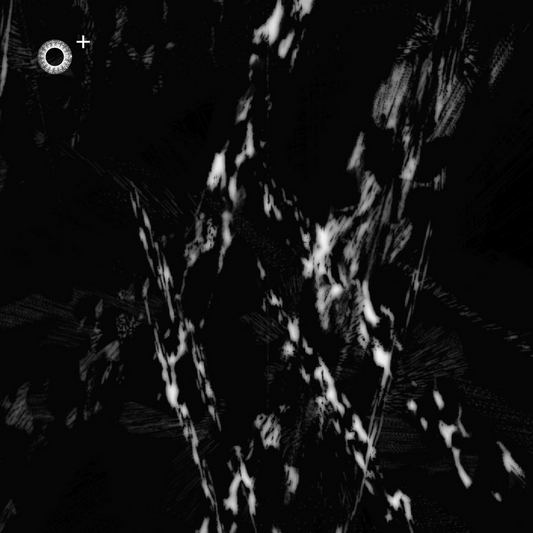 LS.s456 (85, B Minor)