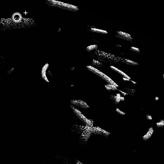 LS.s459 (144, D# Minor)