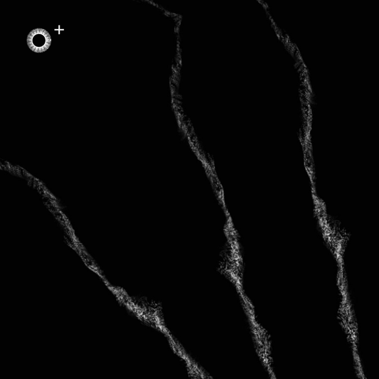 LS.s463 (127, F Major)