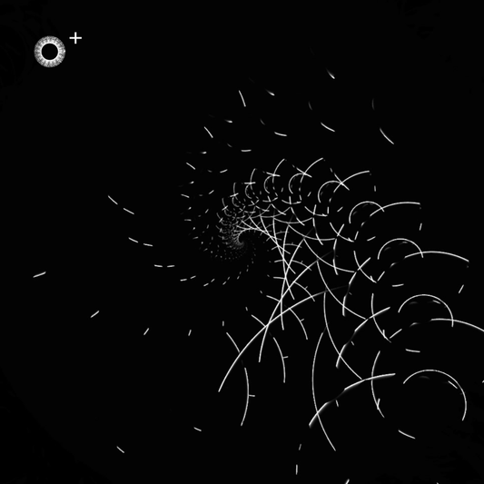 LS.s478 (110, G Major)