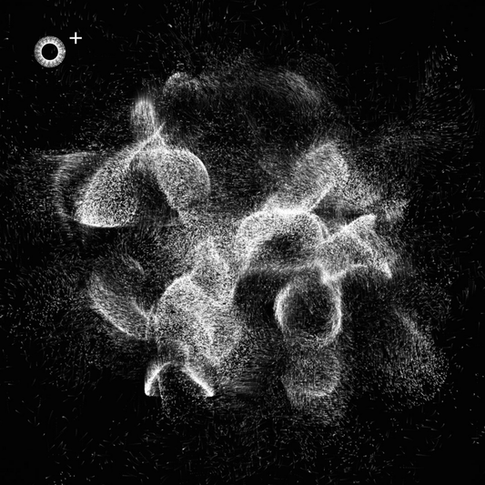 LS.s481 (160, F# Minor)