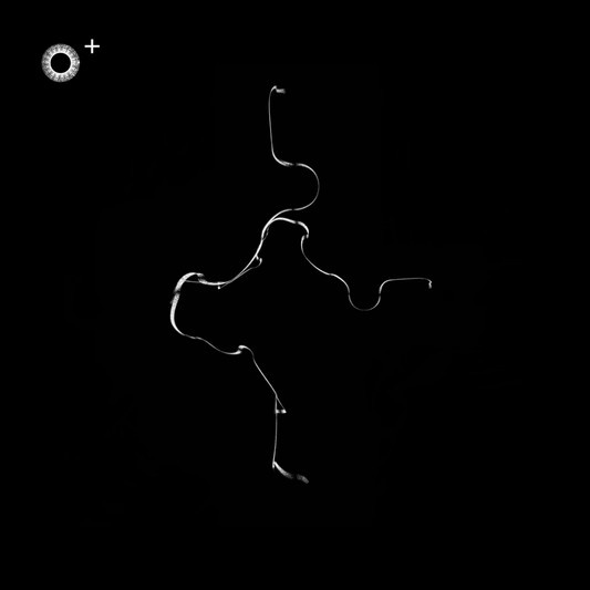 LS.s482 (120, F# Minor)