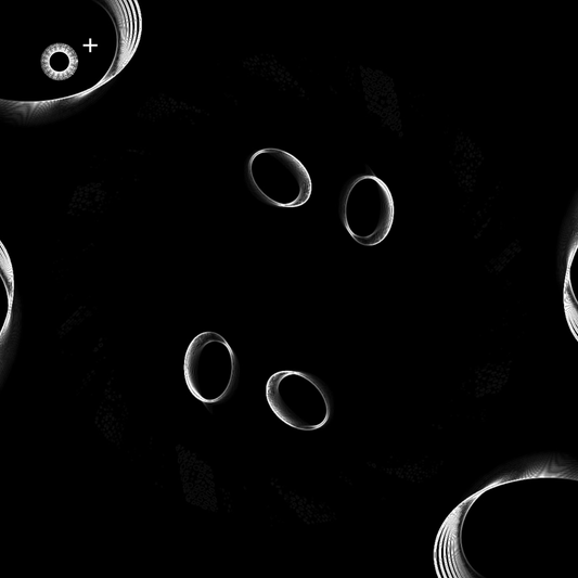 LS.s488 (120, D Major)