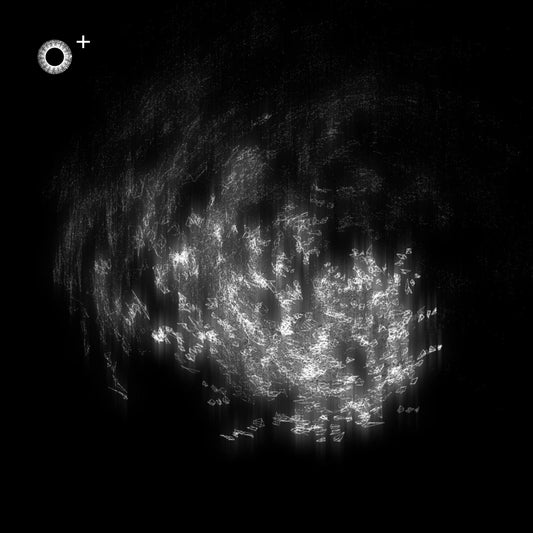 LS.s522 (135, B♭ Major)