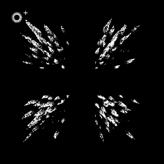 LS.s553 (156, F Minor)
