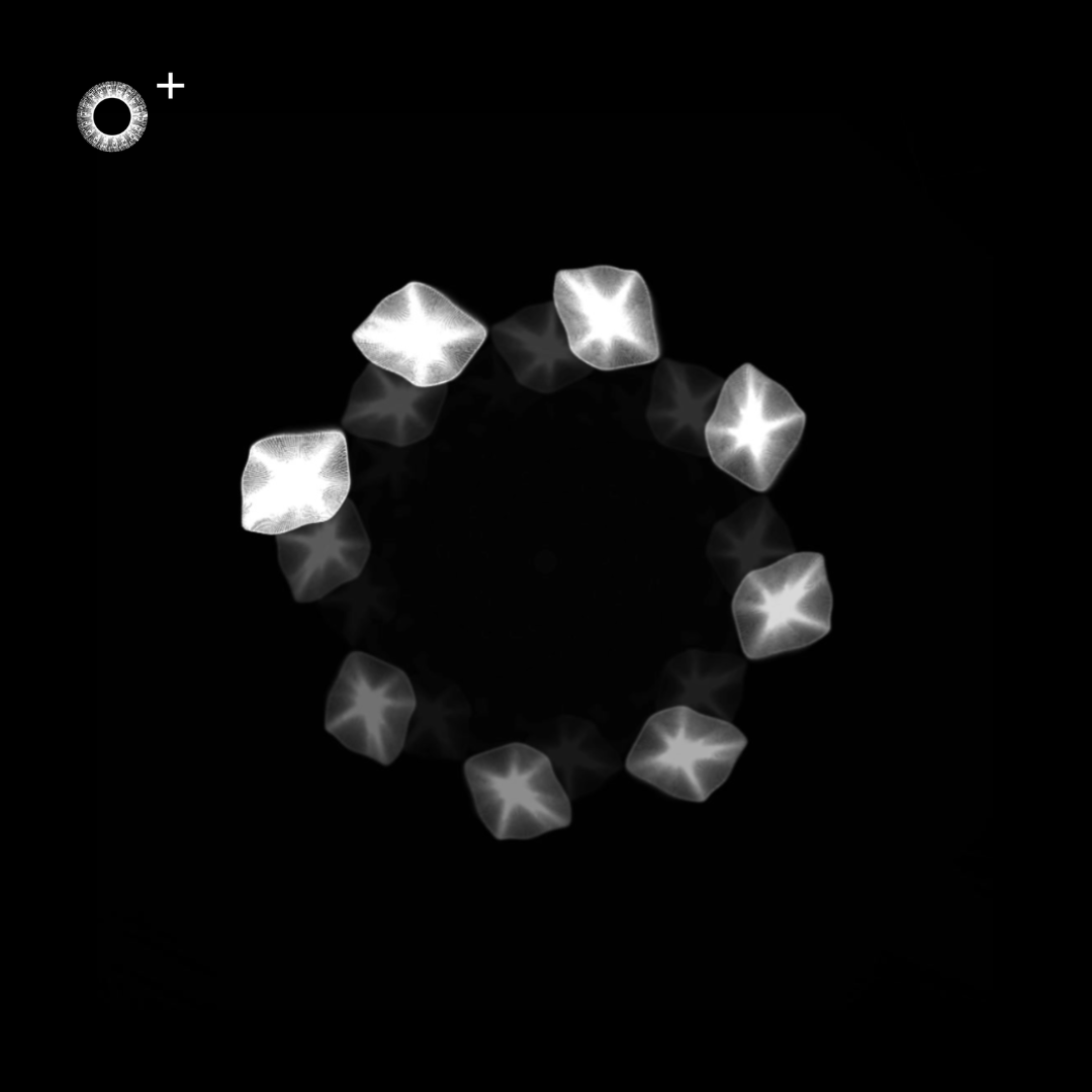 LS.s651 (118, D Major)